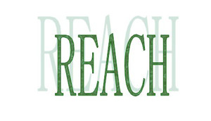 「欧盟」REACH附件XVII新增 N,N-二甲基甲酰胺（DMFa）的限制条款